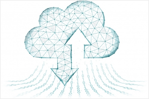 IDS NXT Rio / Romeについて